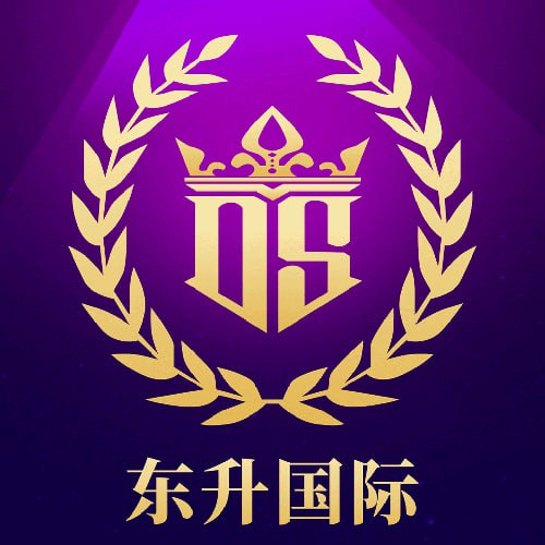 DS-东升国际
